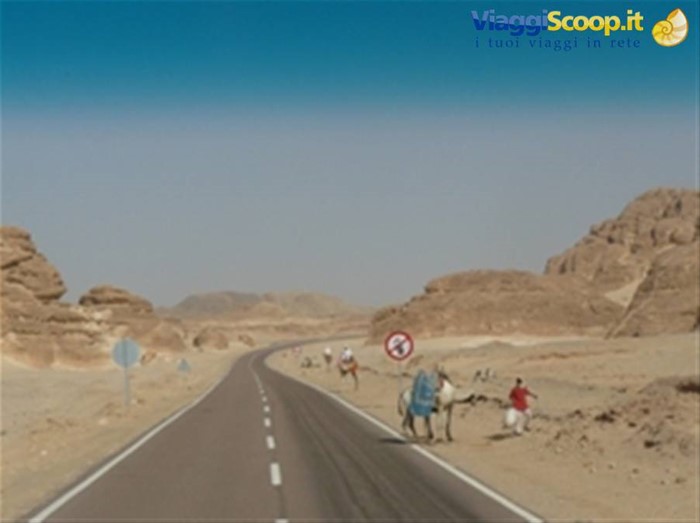 Deserto del Sinai