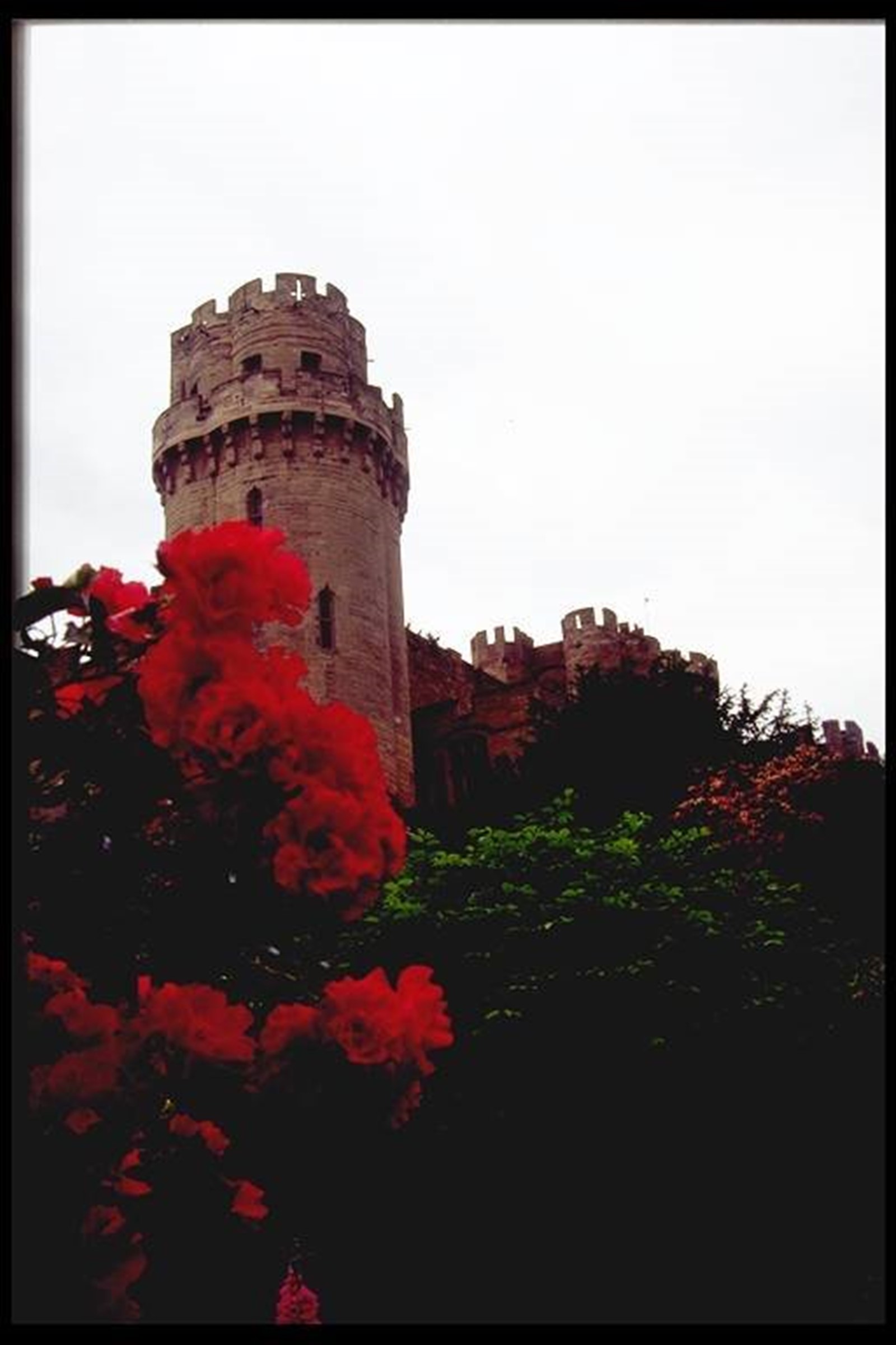 Warwick Castle
