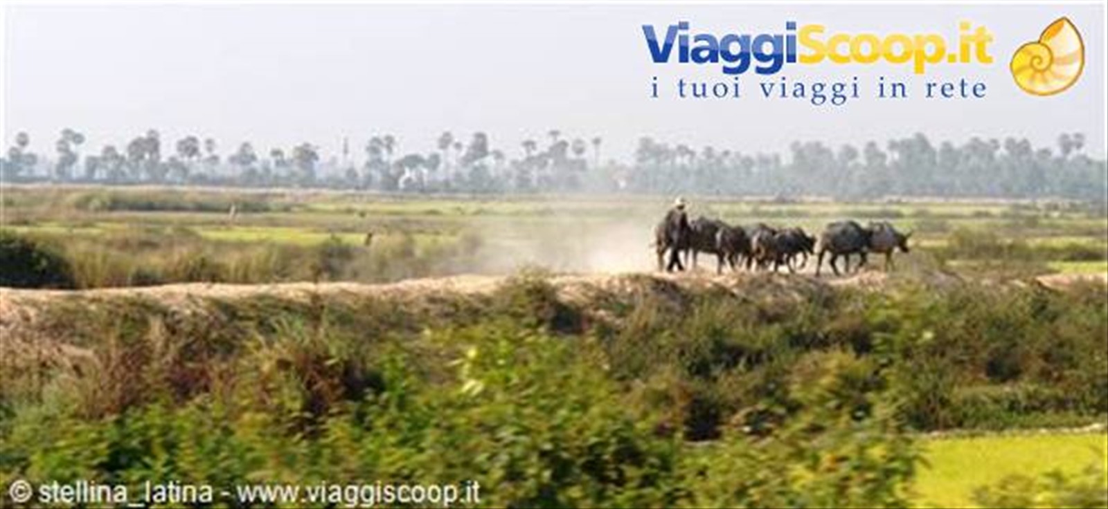 Foto di viaggio in CAMBOGIA