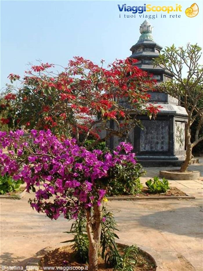 DALAT
