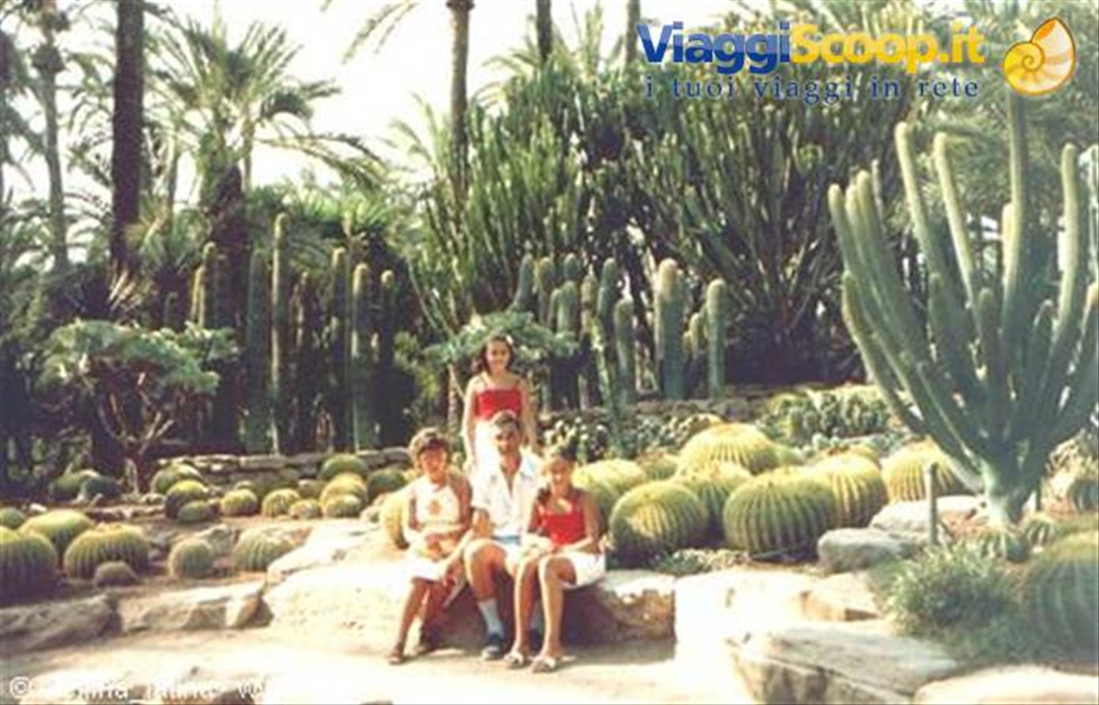elche: huerto del cura