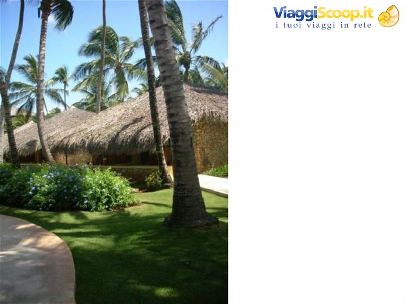viva dominicus beach