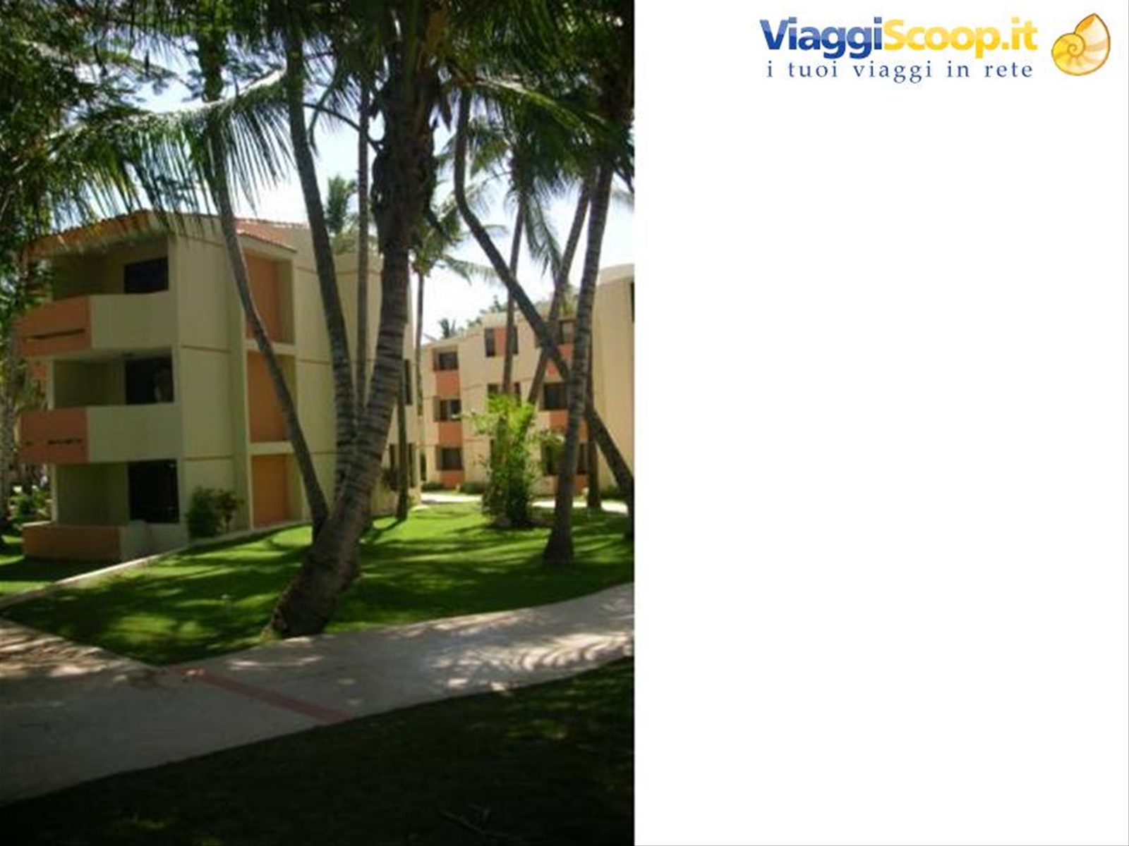 viva dominicus beach