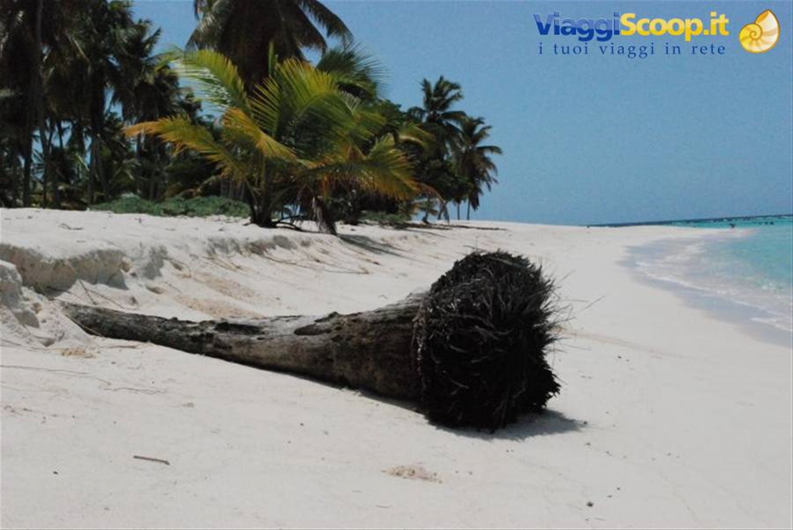 Saona - Canto della playa