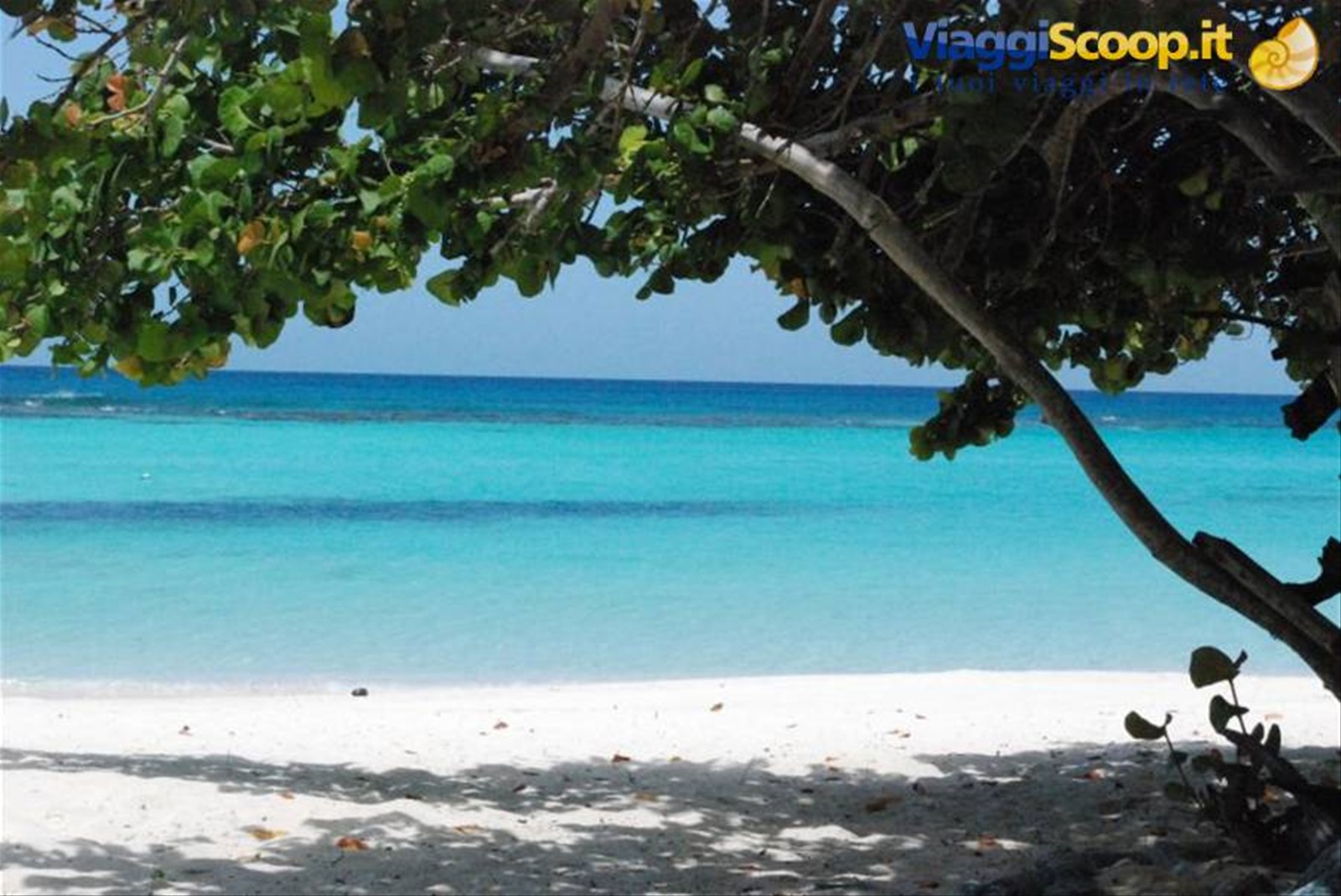 Saona - Canto della playa