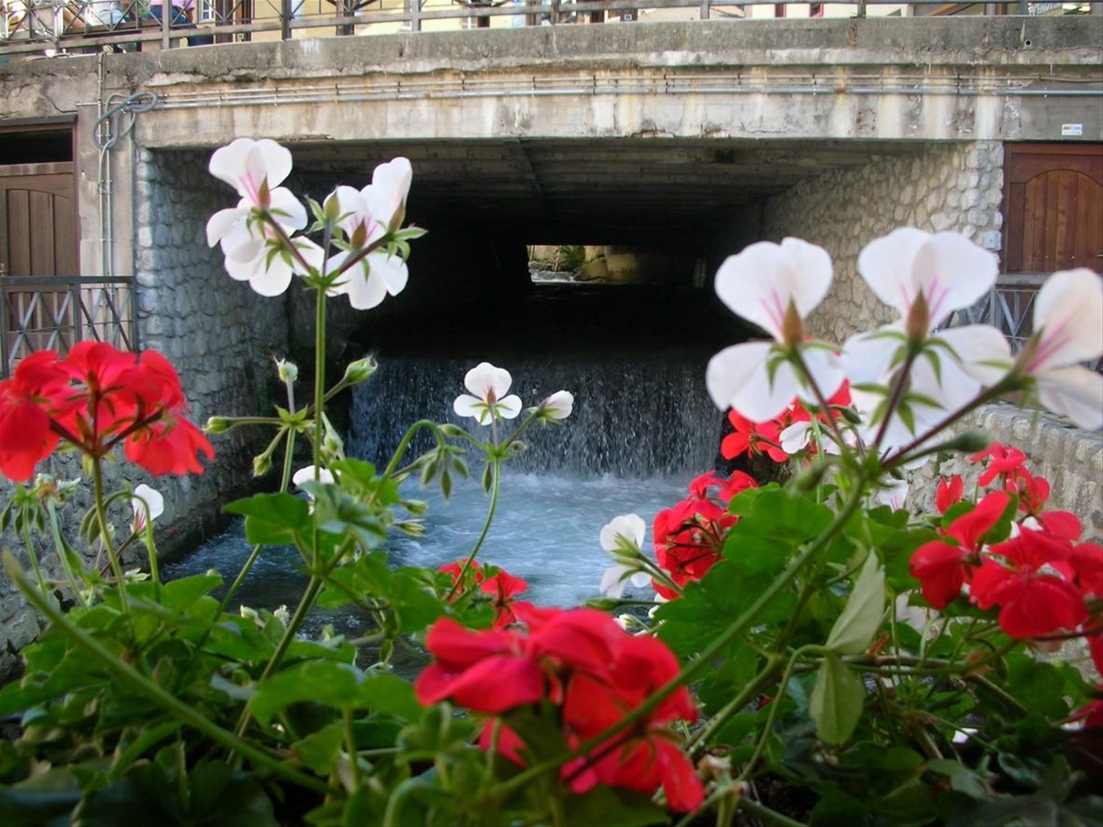 ponte di legno