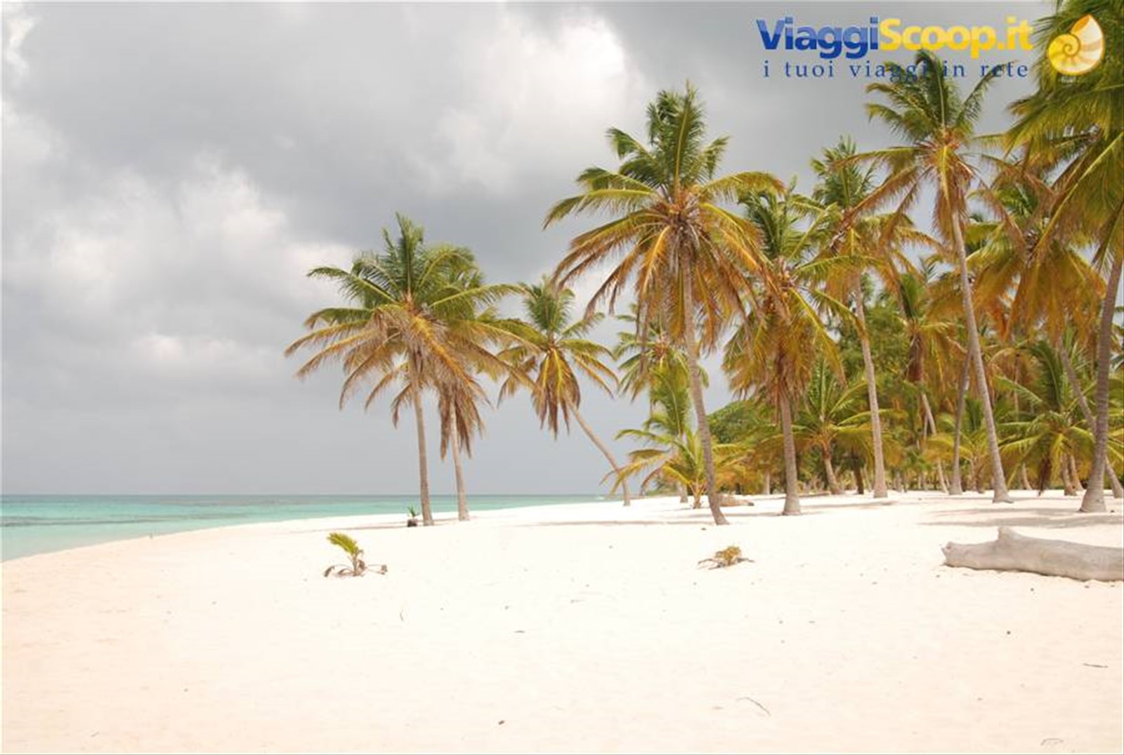 Foto di viaggio in REPUBBLICA DOMINICANA