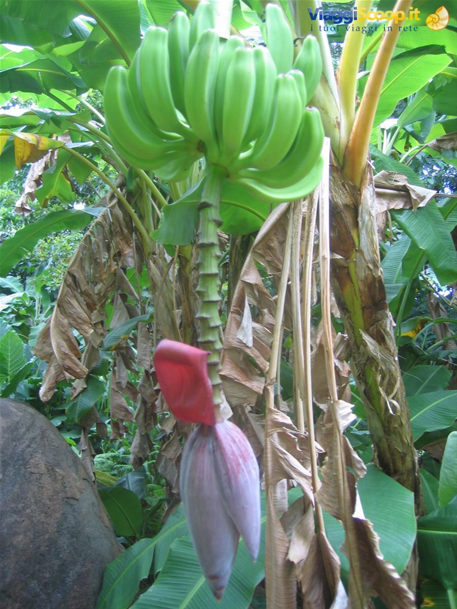 Foto di viaggio in PORTO RICO