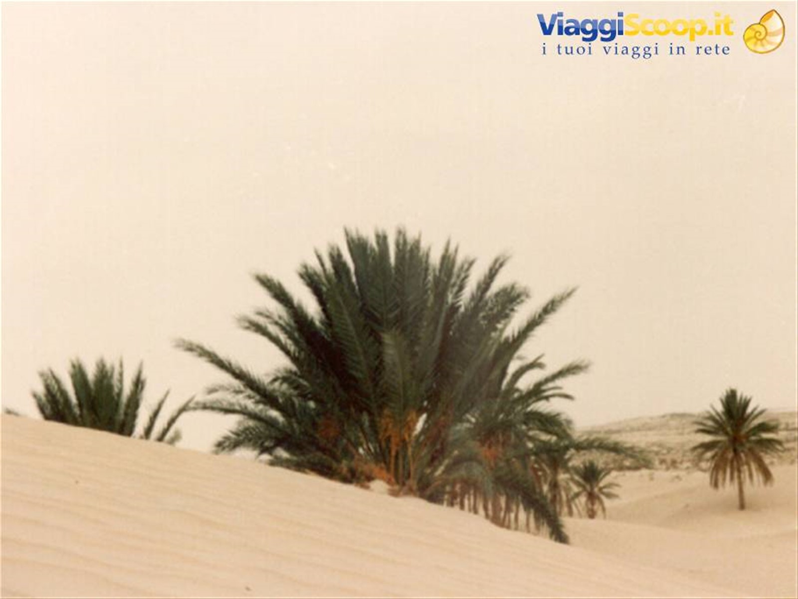 Deserto del Sahara