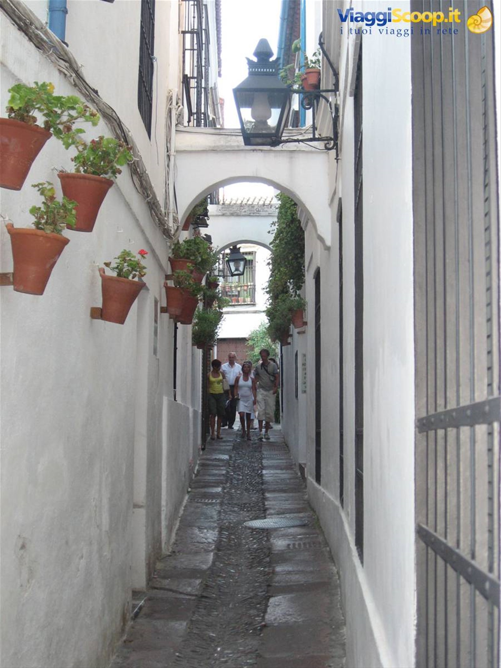 Calle de los flores