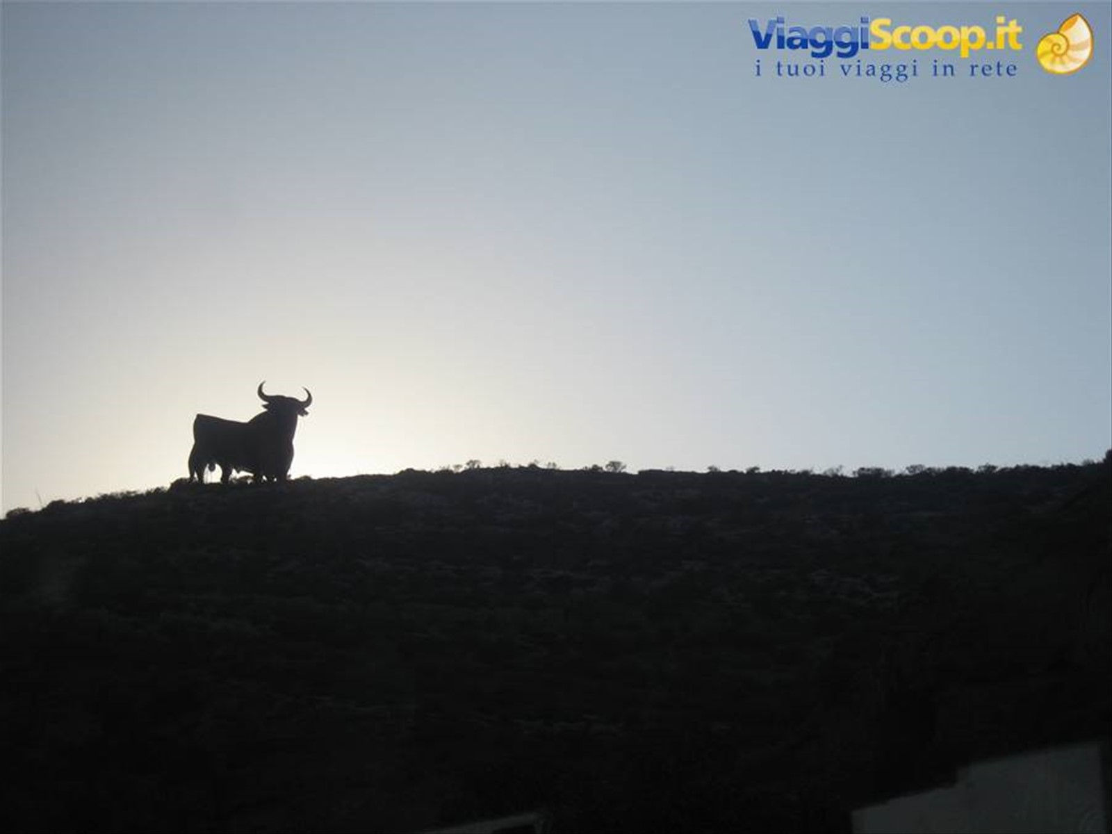 Foto di viaggio in SPAGNA