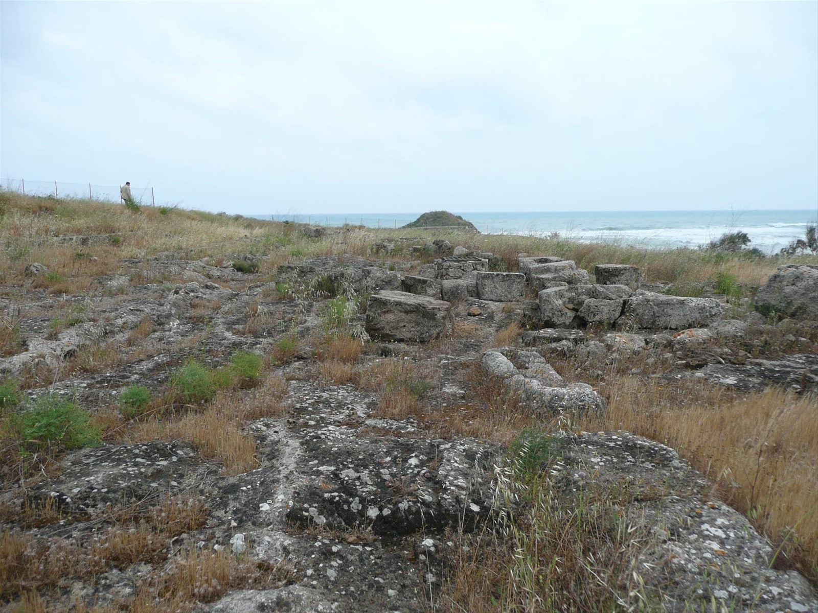 Eloro