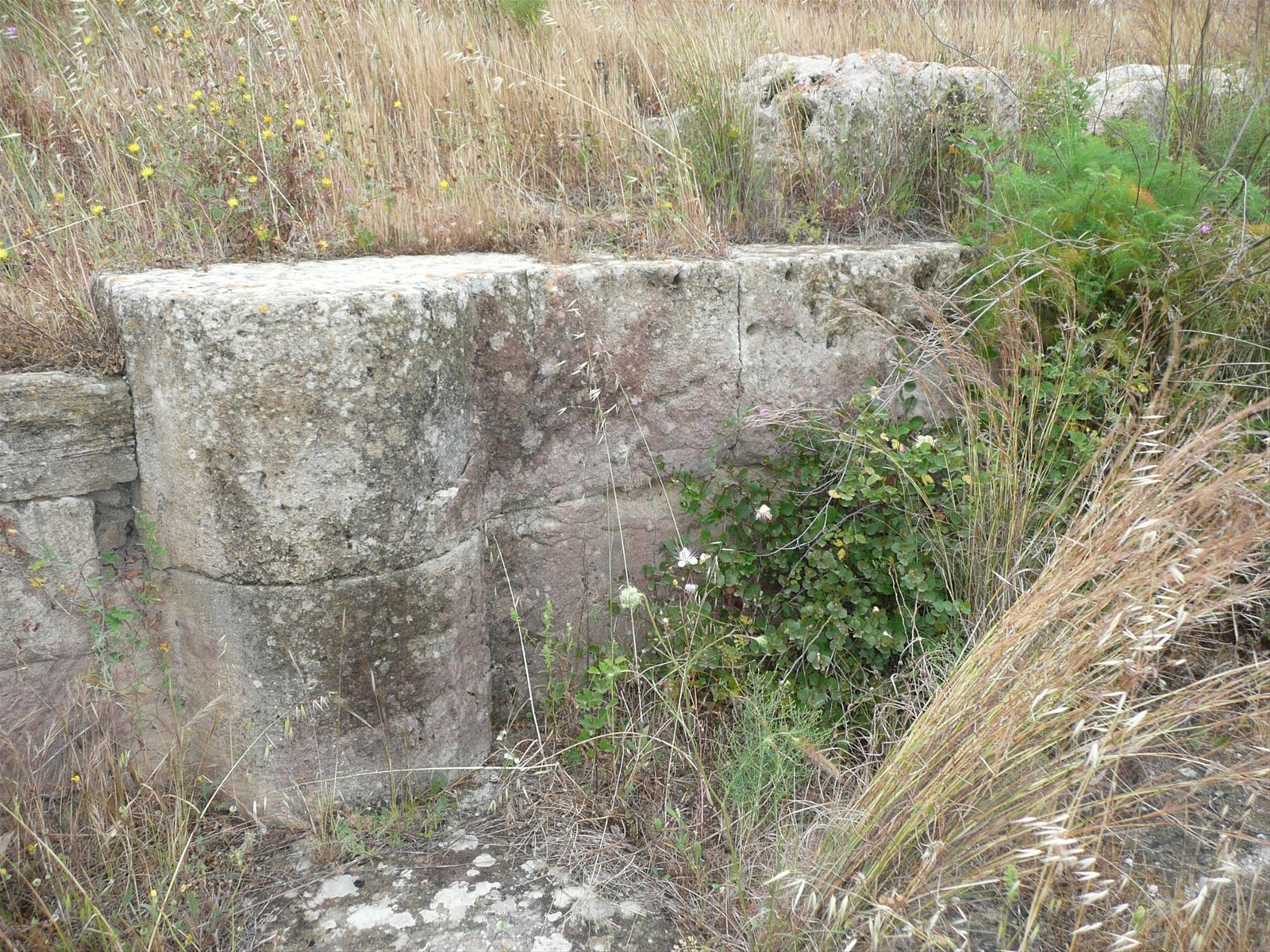 Eloro