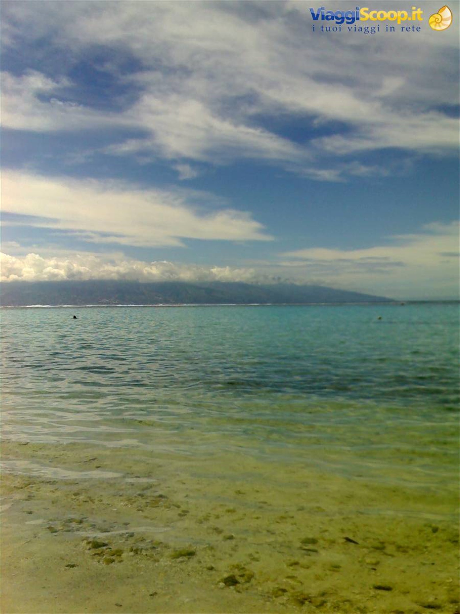 MOOREA