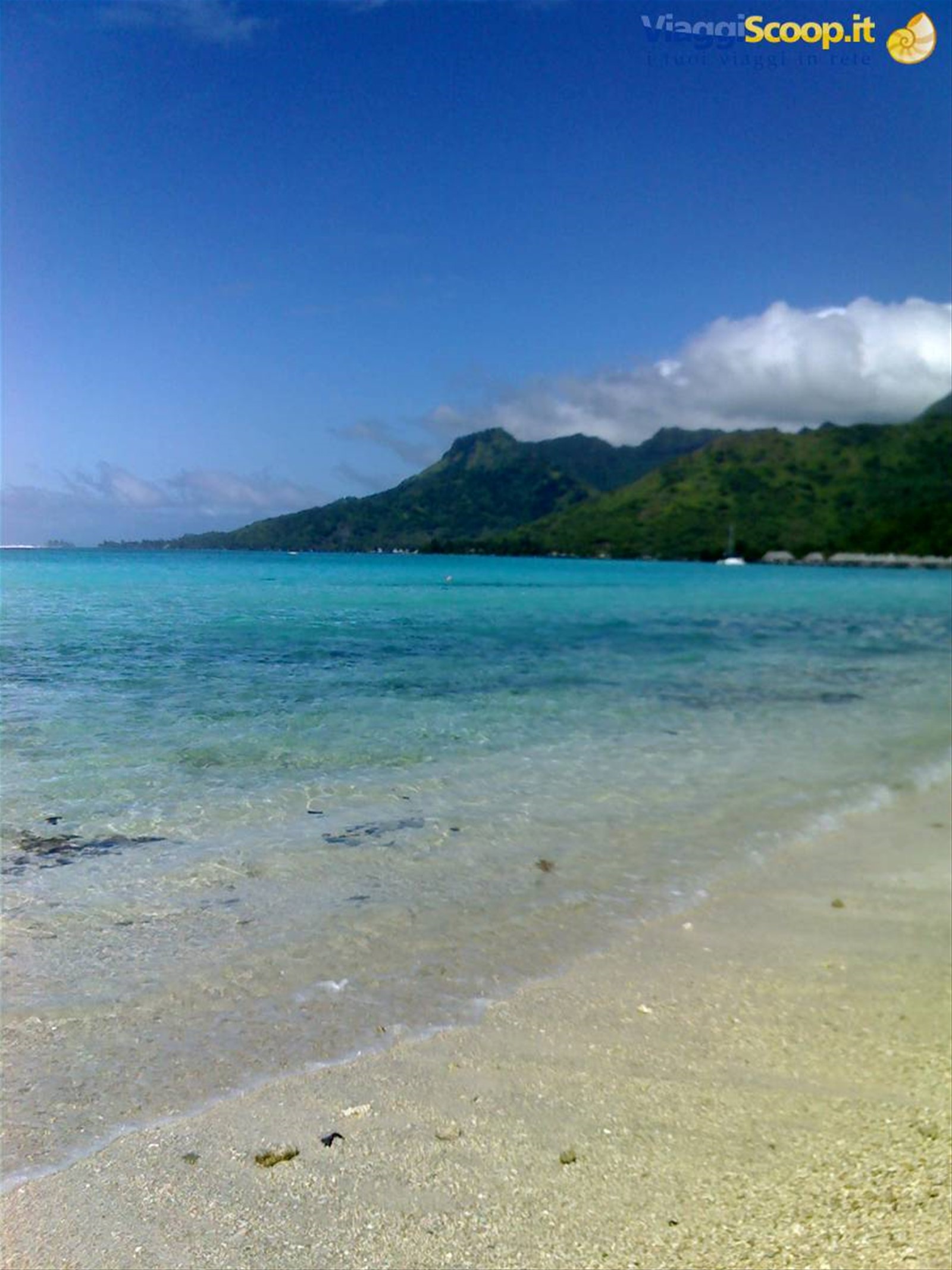 MOOREA