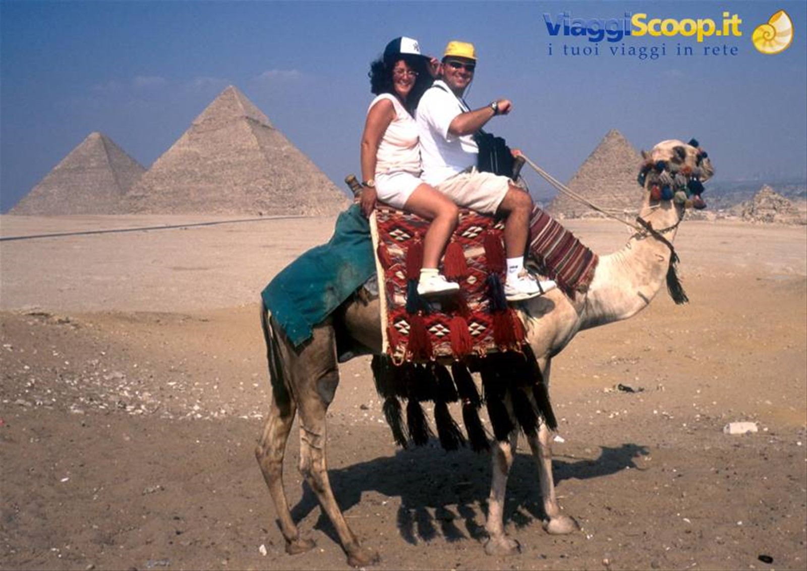 Giza in dromedario