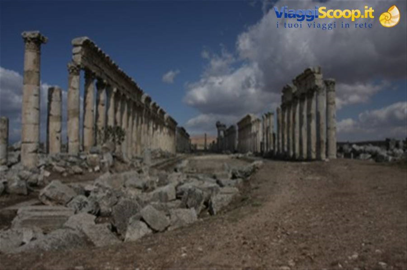 APAMEA