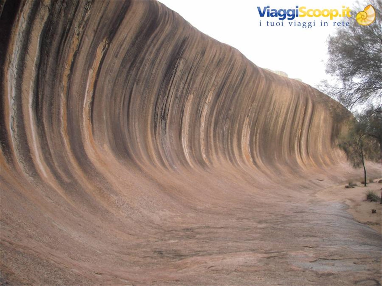 Wave Rock