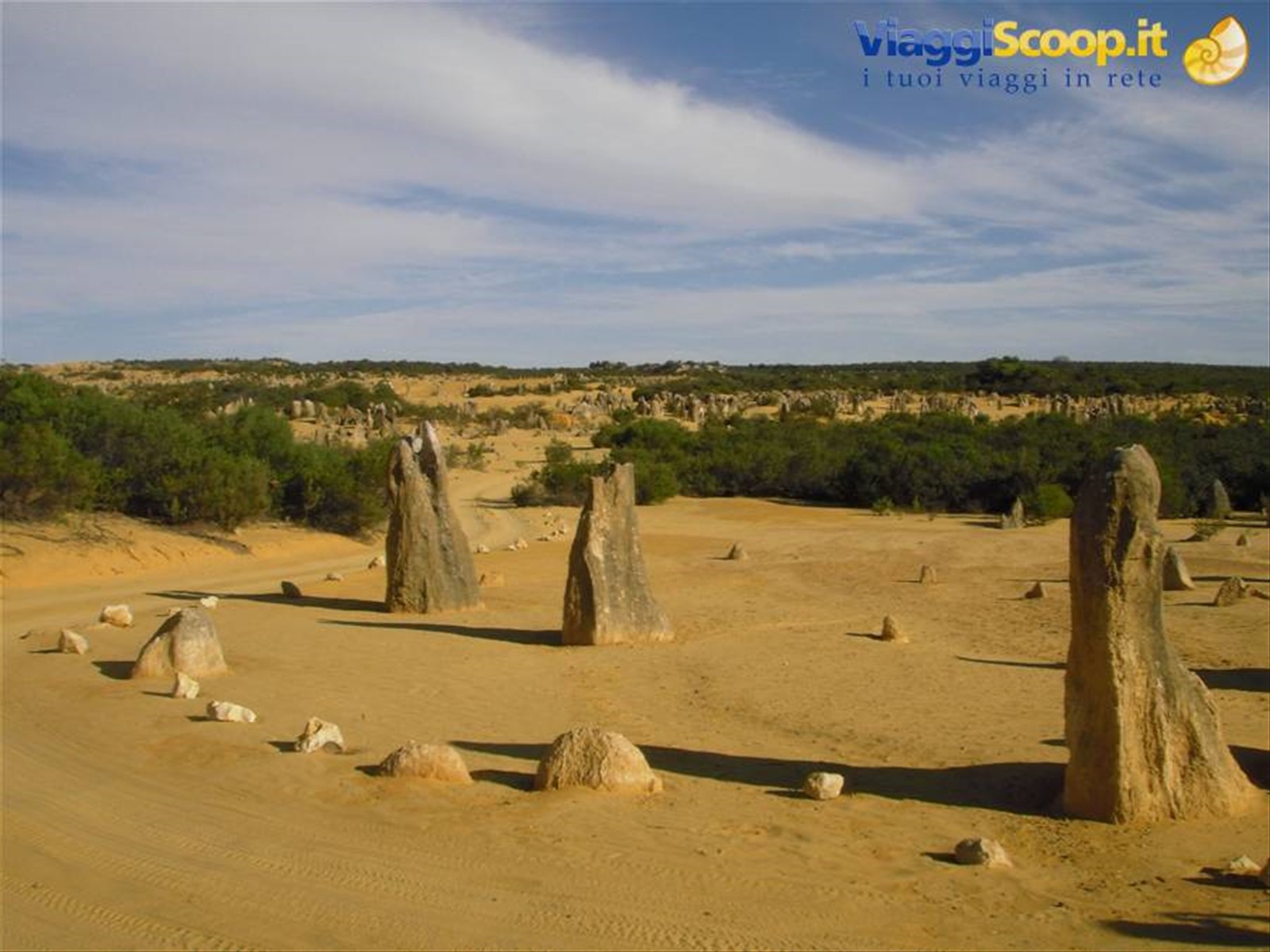 Deserto dei Pinnacoli