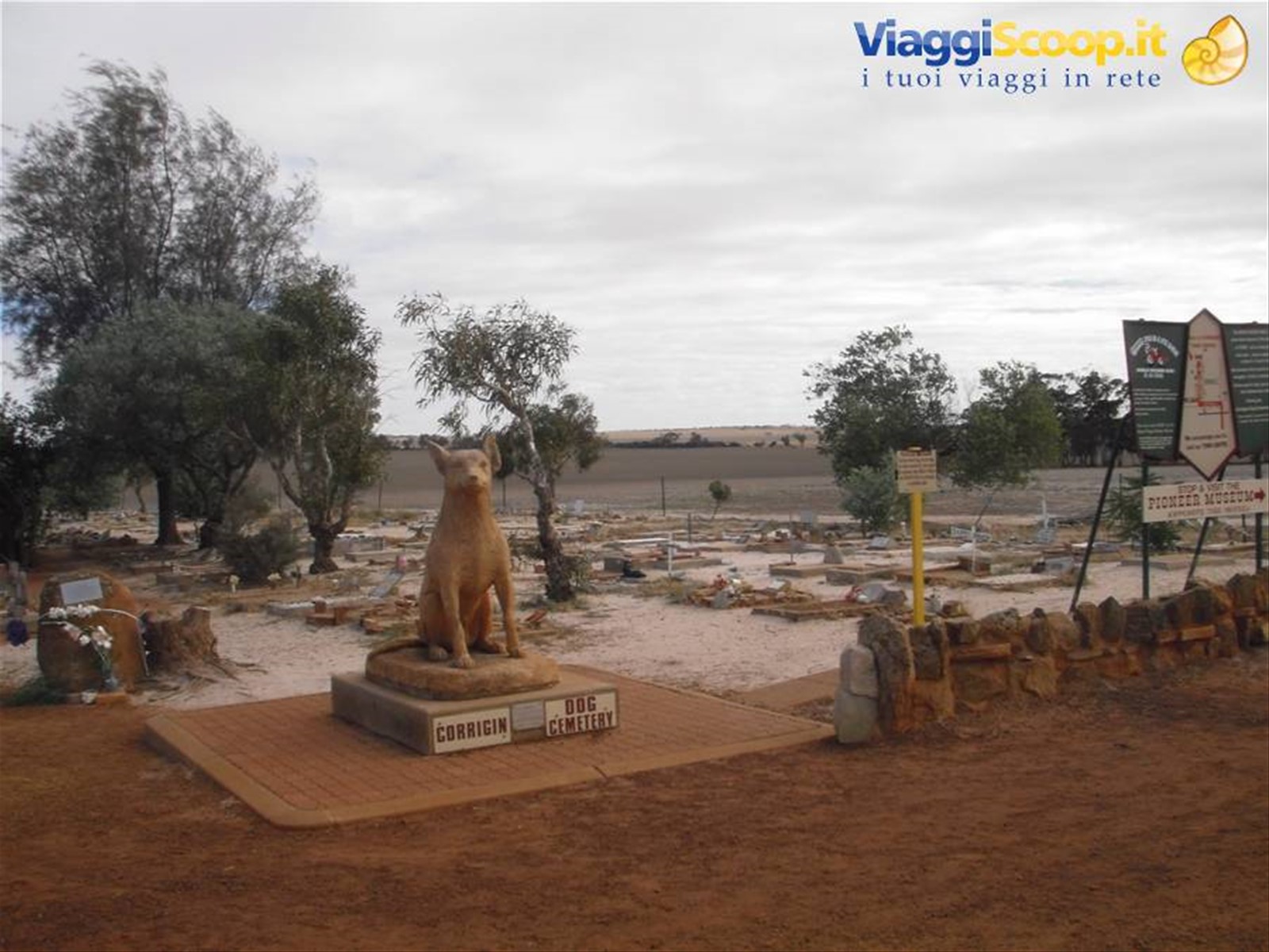 Cimitero dei cani