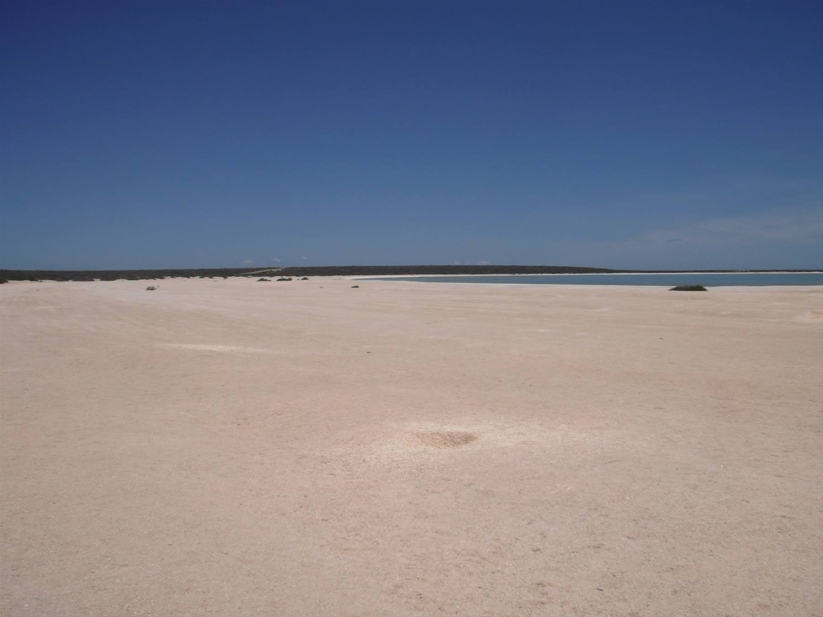 Shell Beach