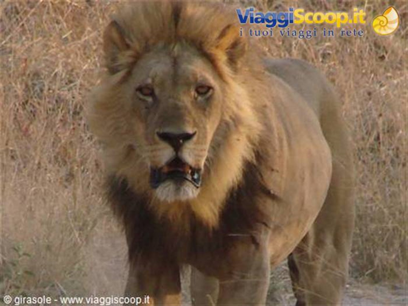 Foto di viaggio in BOTSWANA