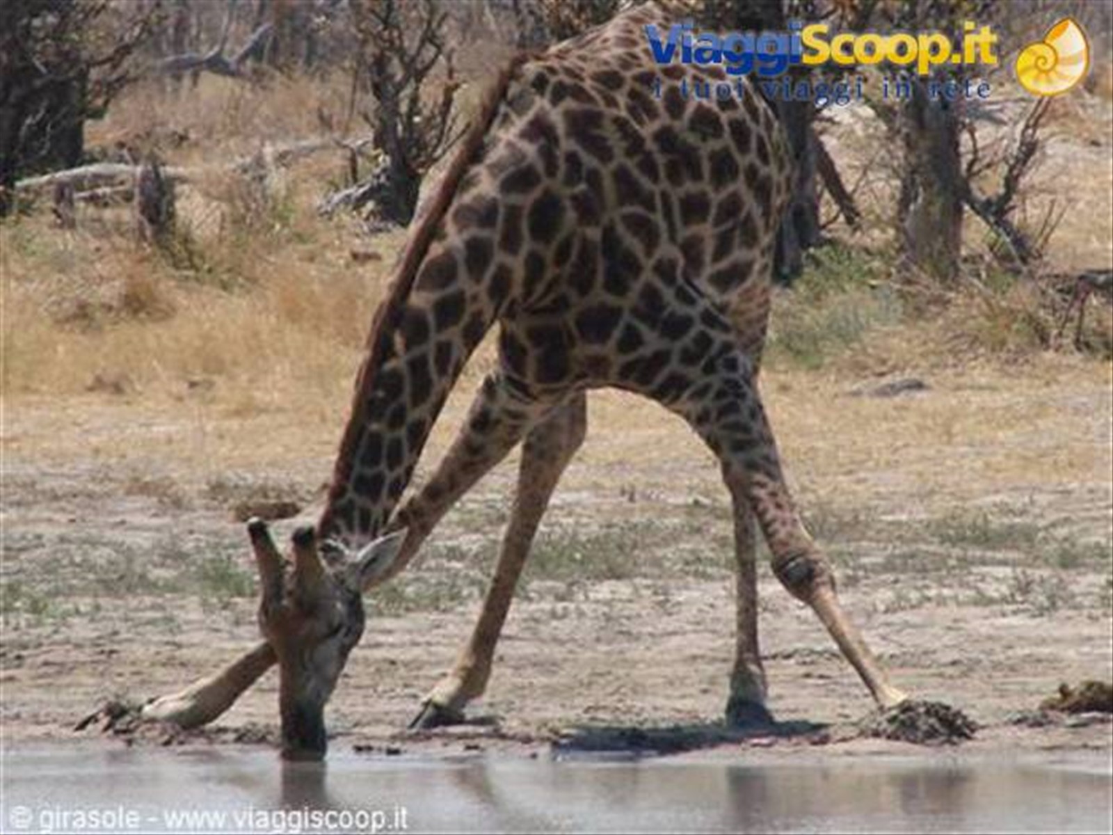 Foto di viaggio in BOTSWANA