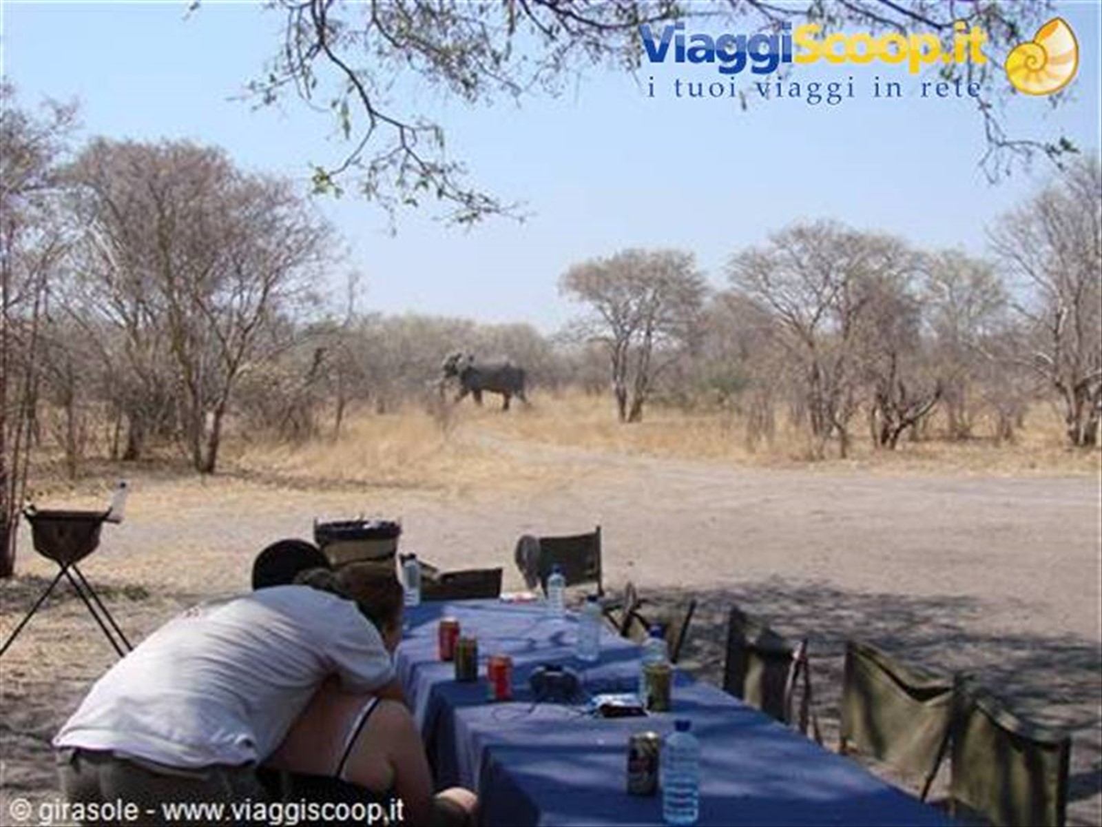 Foto di viaggio in BOTSWANA