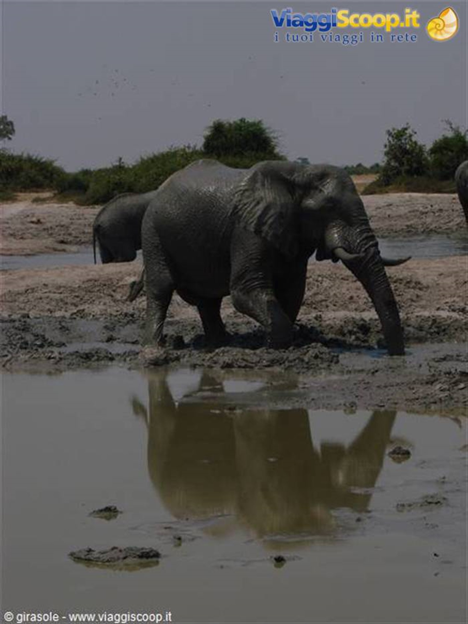 Foto di viaggio in BOTSWANA