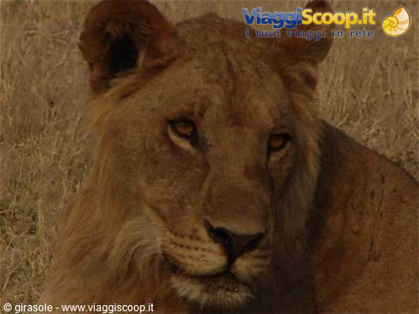 Foto di viaggio in BOTSWANA