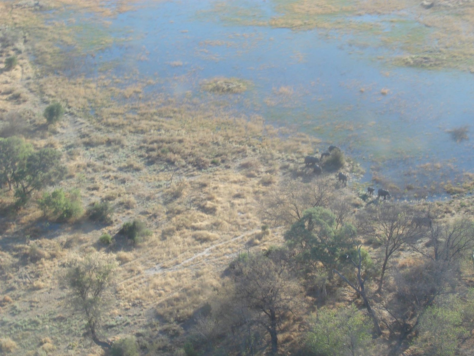 Foto di viaggio in BOTSWANA