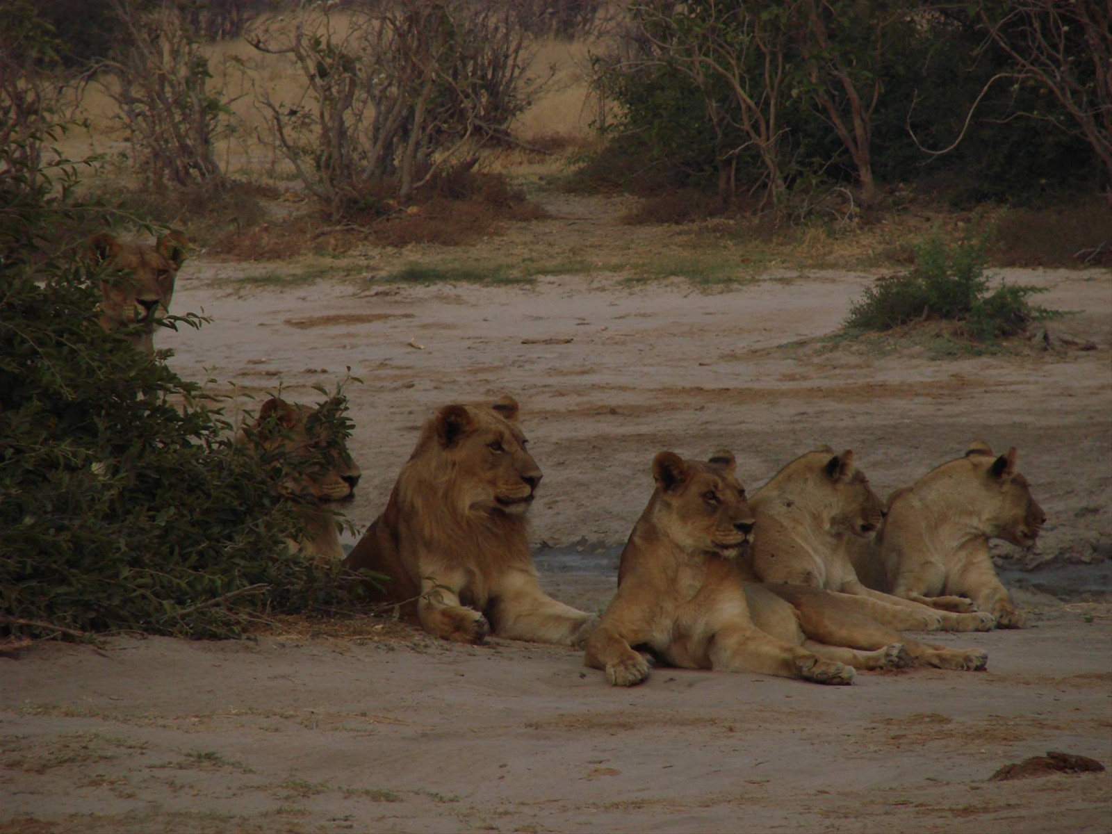 Foto di viaggio in BOTSWANA