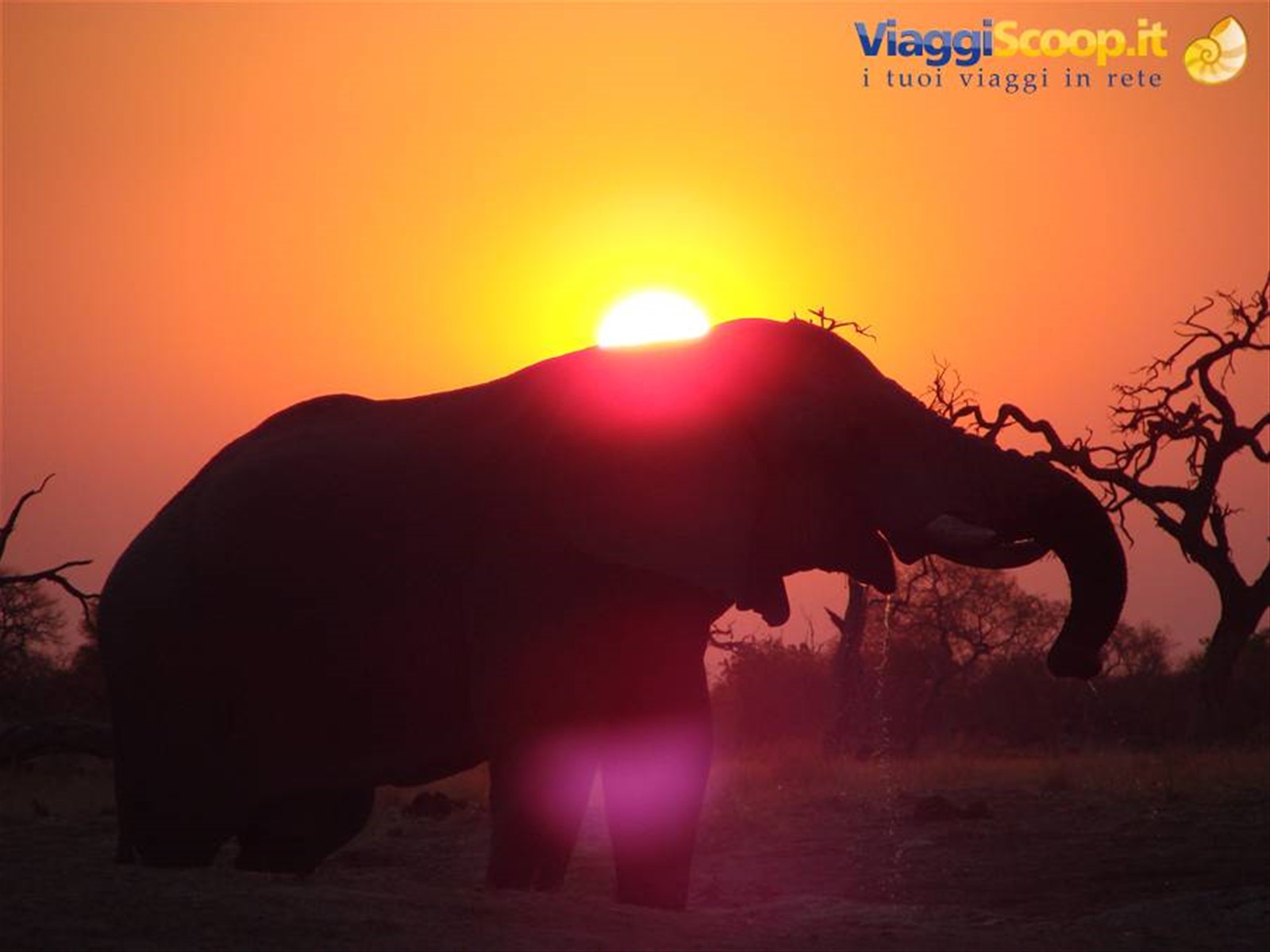 Foto di viaggio in BOTSWANA