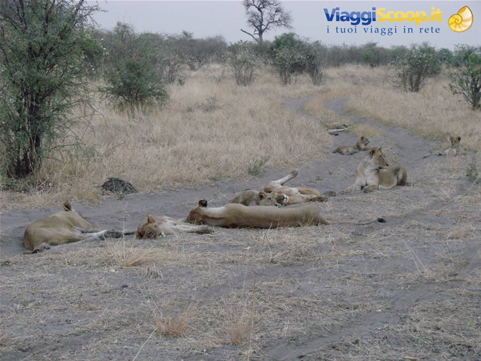 Foto di viaggio in BOTSWANA