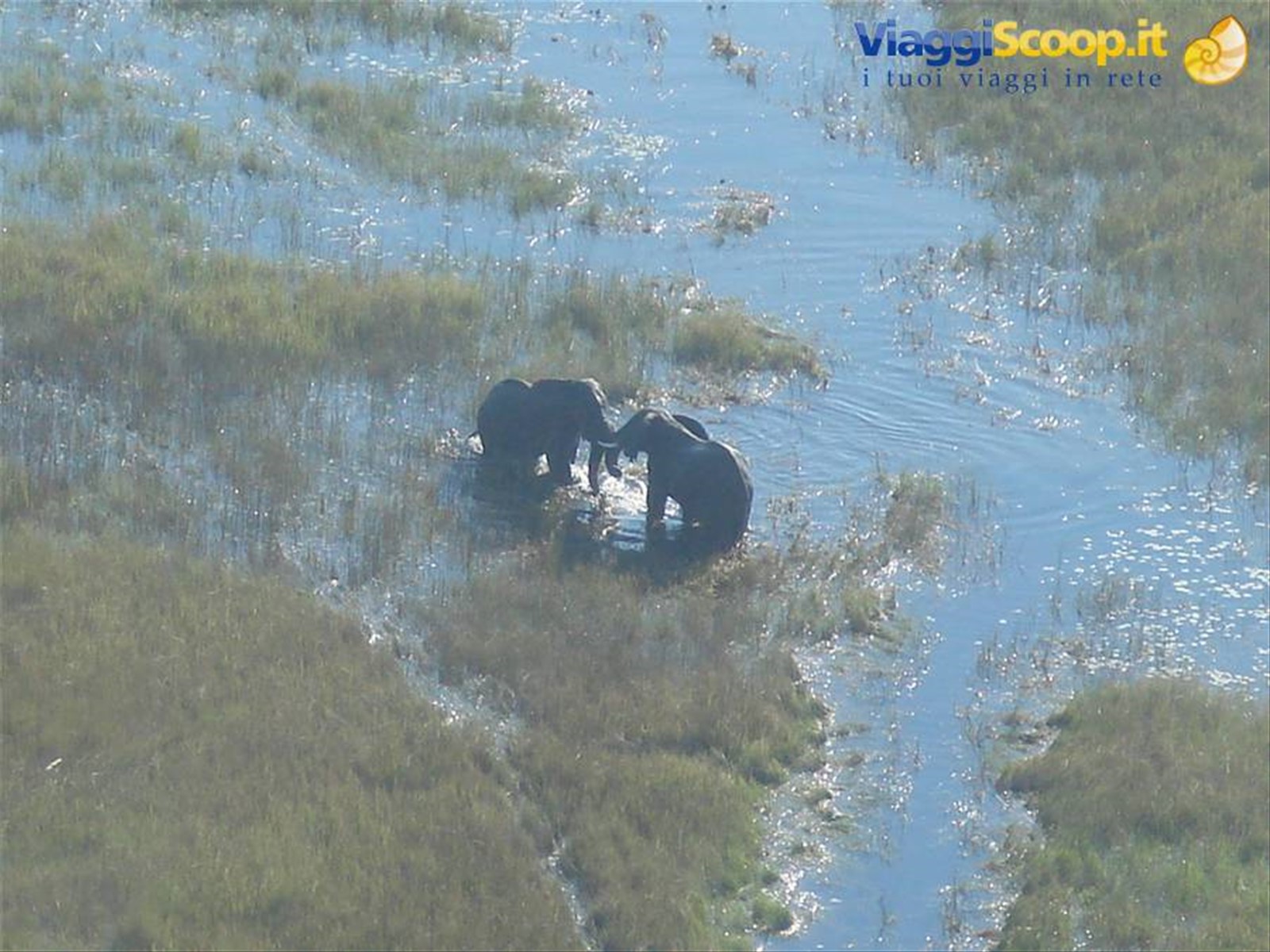 Foto di viaggio in BOTSWANA