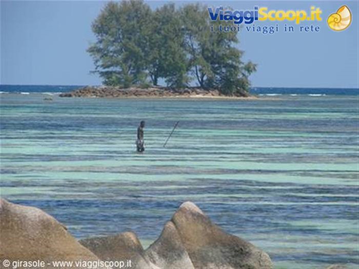 Pescatori di polipi  - La Digue