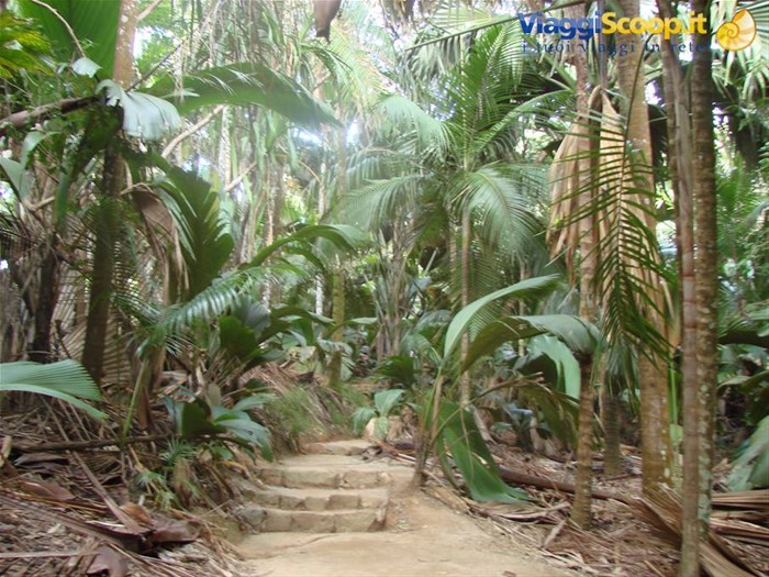 vallee de Mai