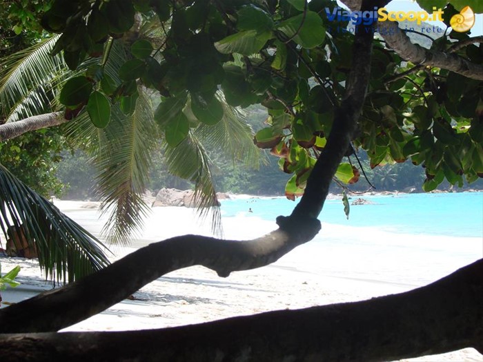Anse Lazio