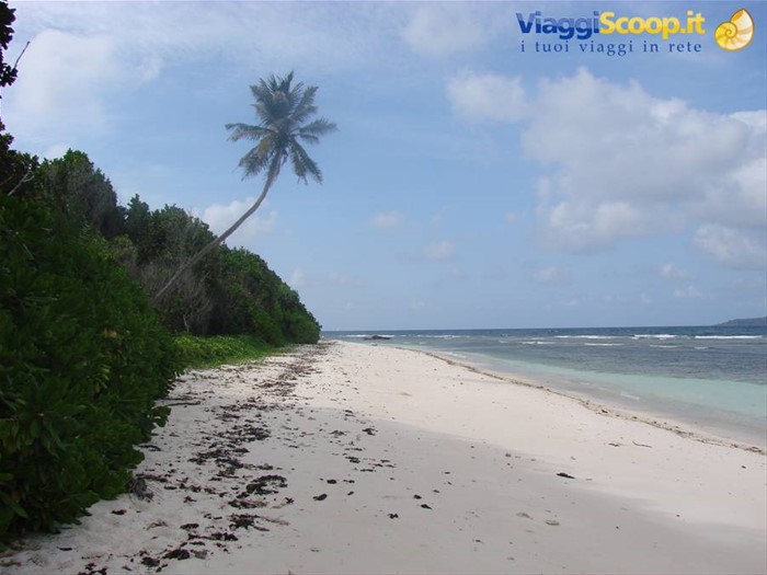 la digue
