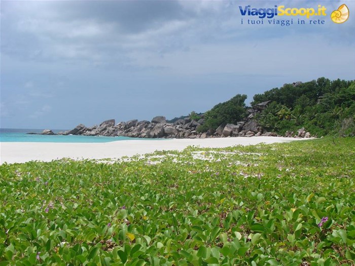 petite anse