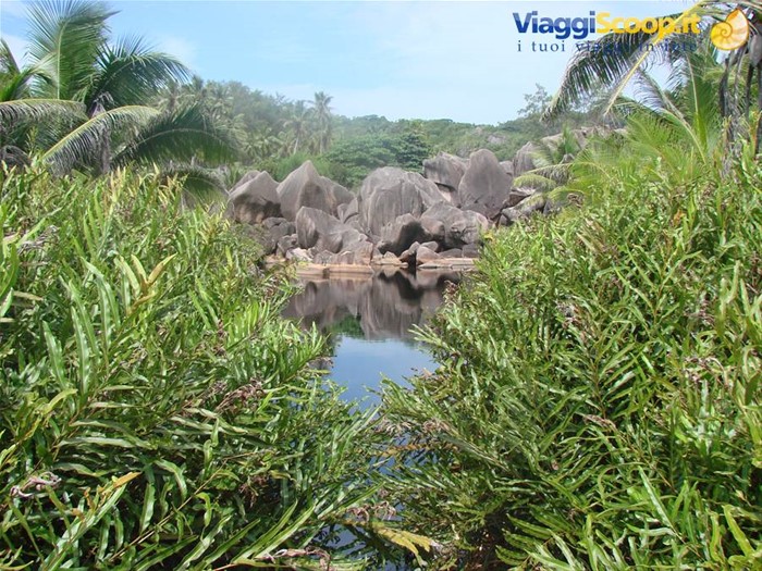 la digue