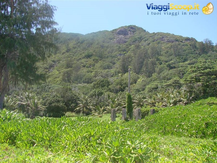 rovine ad anse coco
