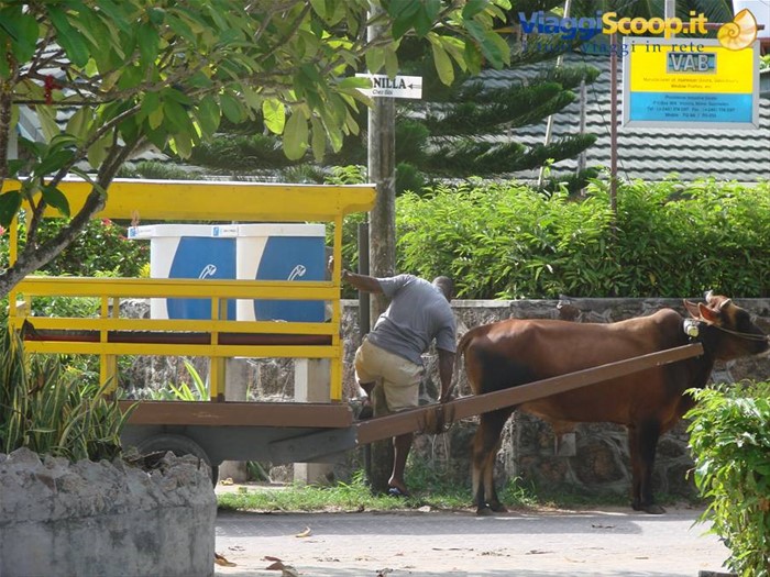 un taxi a la digue