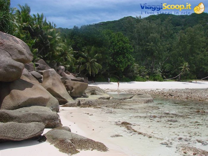 anse coco