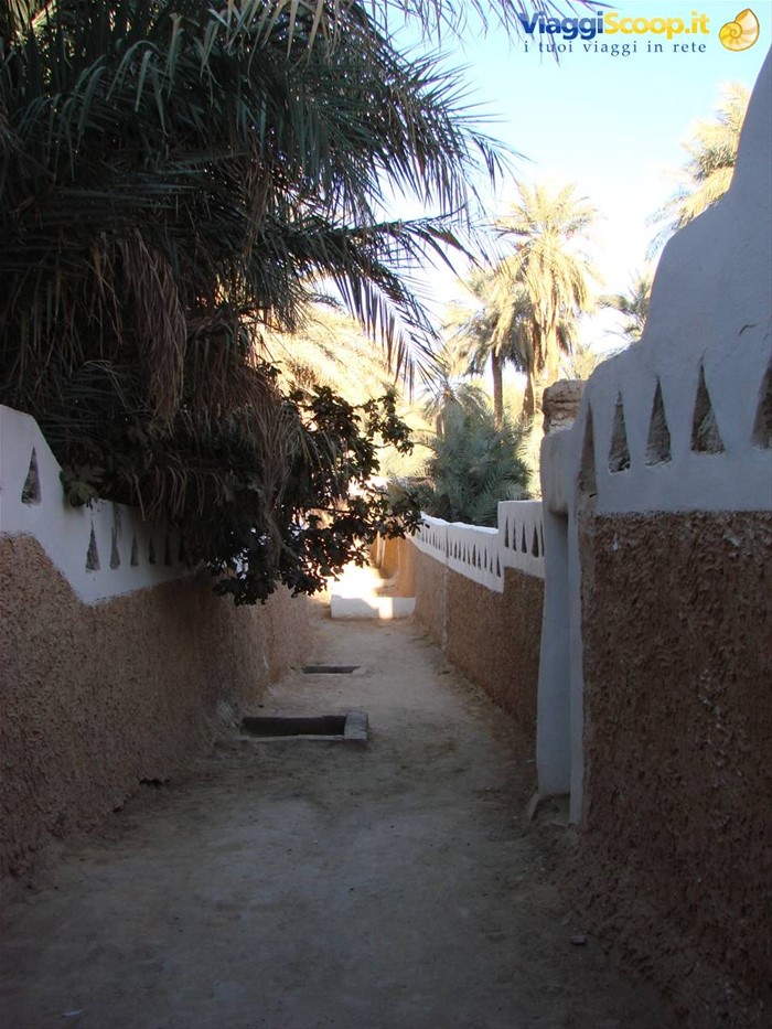 Ghadames - giardini