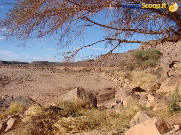 wadi mathendush