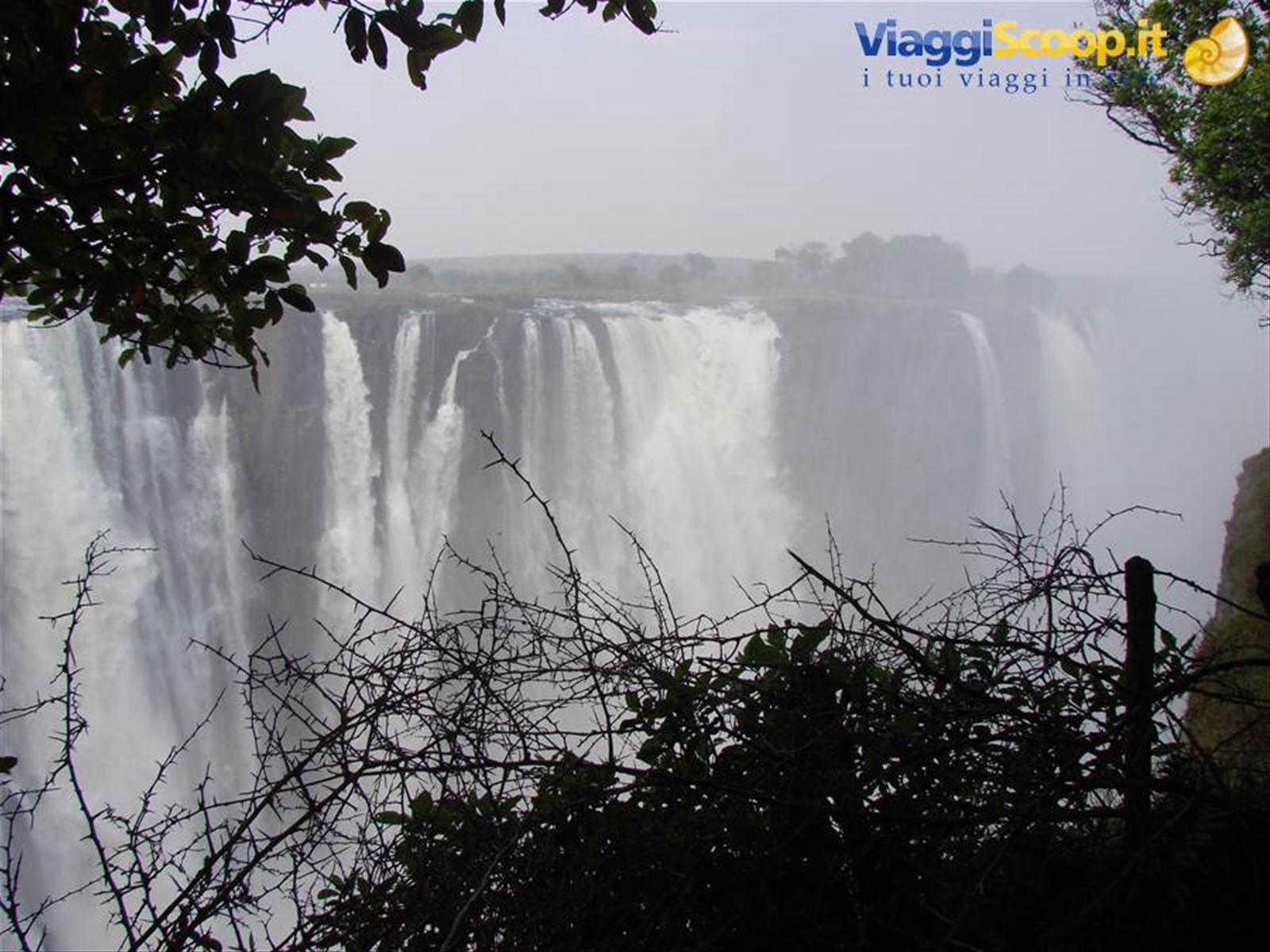 Foto di viaggio in ZIMBABWE