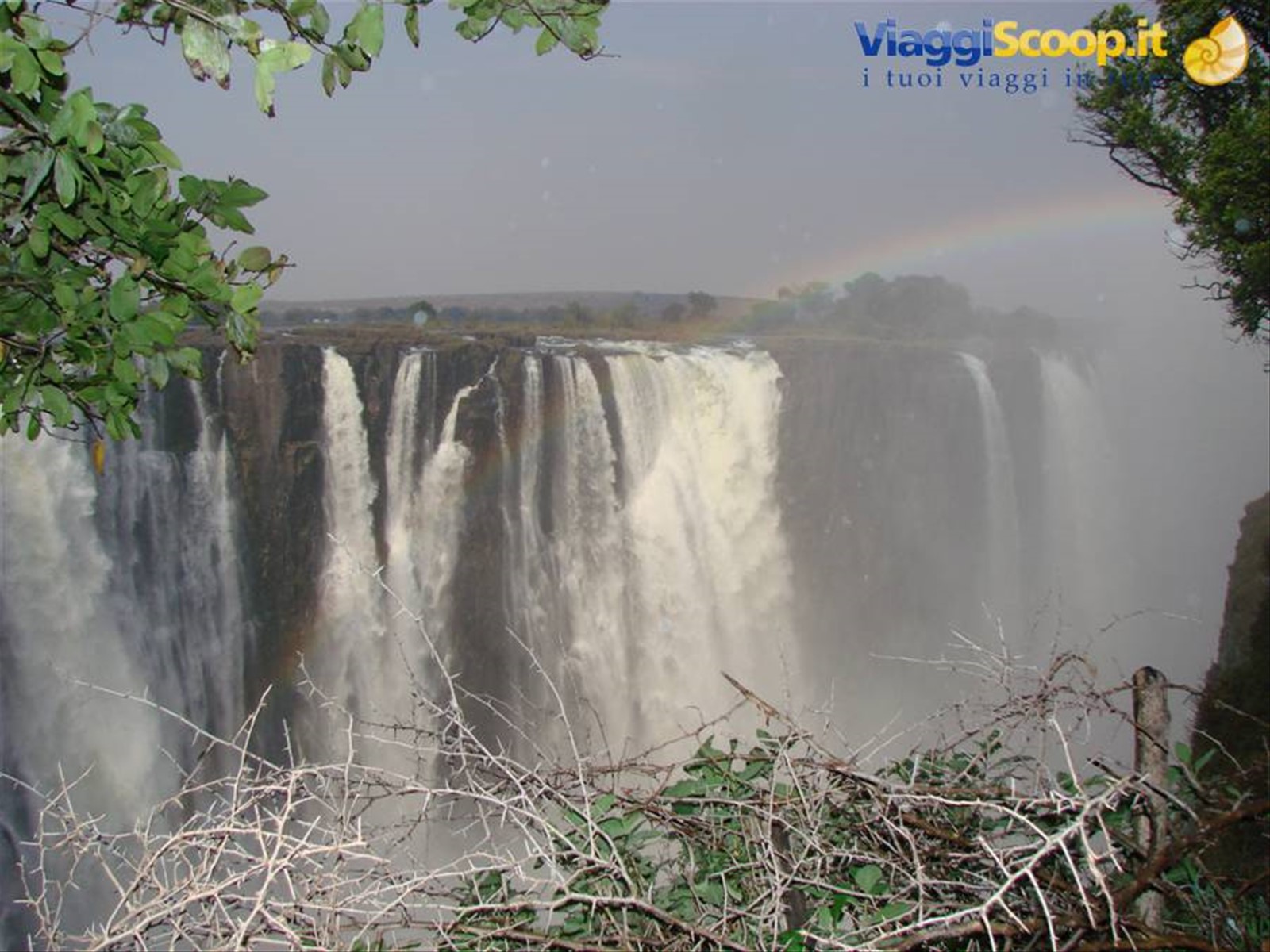 Foto di viaggio in ZIMBABWE