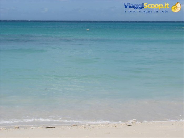 puka shell beach