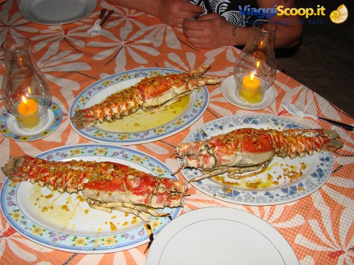 le aragoste comprate dal pescatore sono diventate la nostra cena!